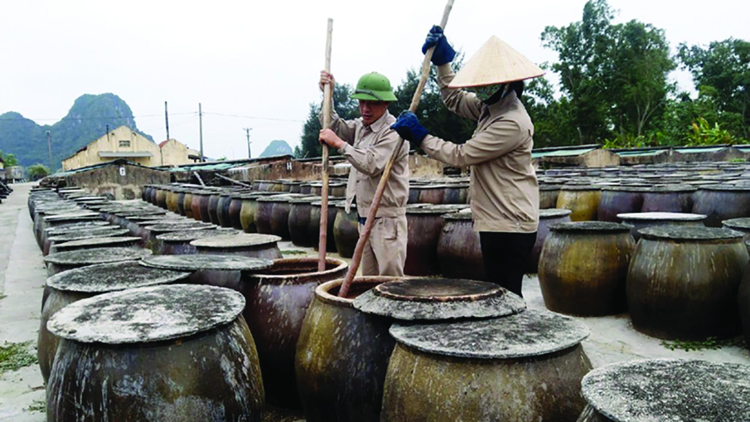 Nước mắm Cái Rồng ở Vân Đồn là sản phẩm được cấp nhãn hiệu tập thể từ năm 2013.