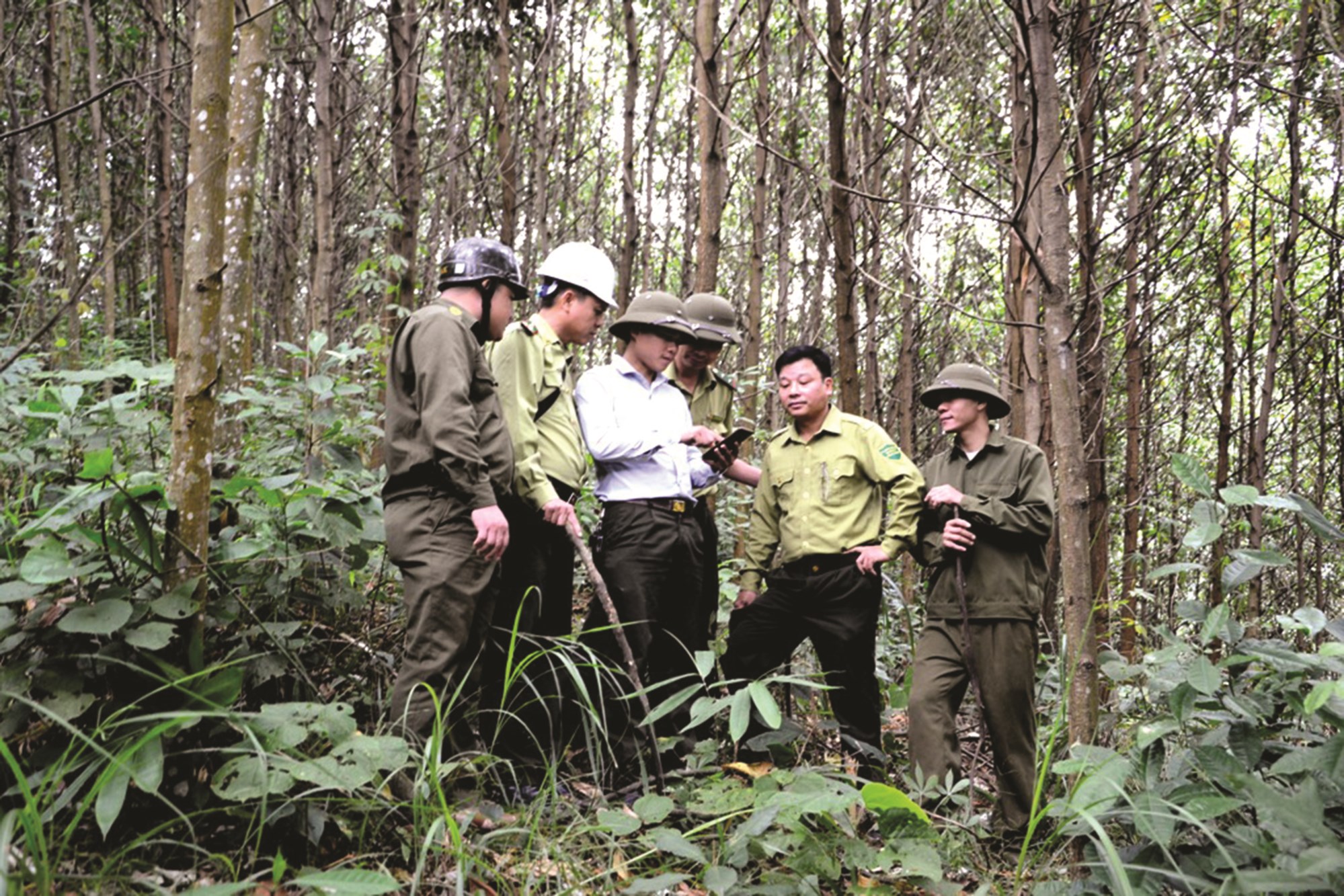 Lực lượng kiểm lâm huyện Bảo Yên sử dụng phần mềm GeoSurvey trên điện thoại thông minh trong quá trình tuần tra bảo vệ rừng