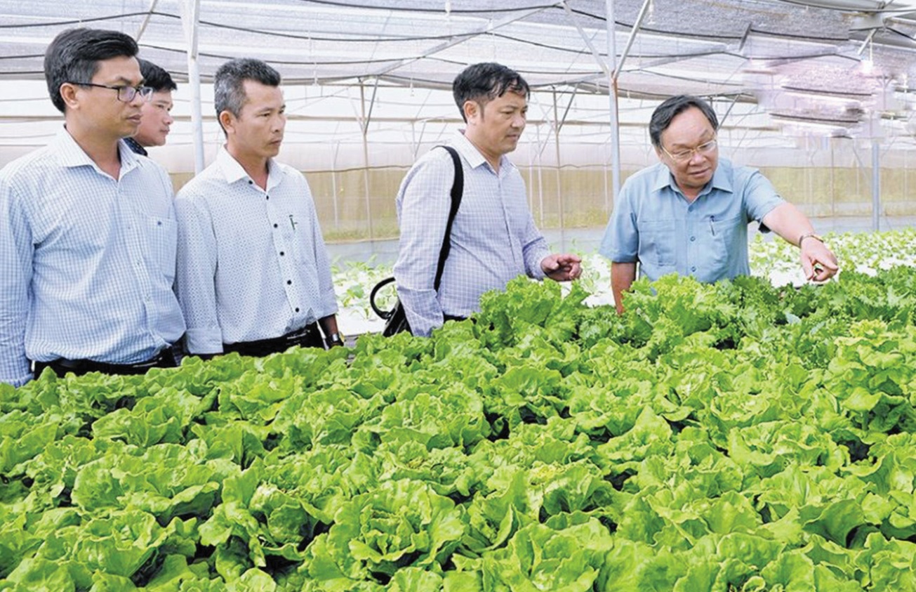 Bí thư Tỉnh ủy Lê Diễn (ngoài cùng bên phải) thăm khu sản xuất rau thủy canh của Khu Nông nghiệp ứng dụng công nghệ cao tỉnh Đăk Nông. (Ảnh tư liệu)