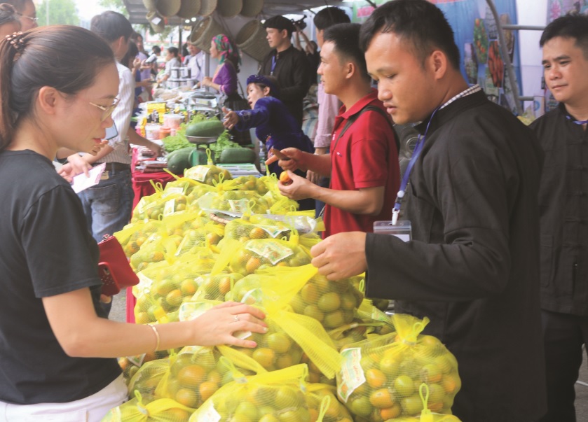 Hồng không hạt được bày bán tại Tuần lễ giới thiệu nông sản sạch tỉnh Bắc Kạn ở siêu thị Big C Thăng Long, Hà Nội.