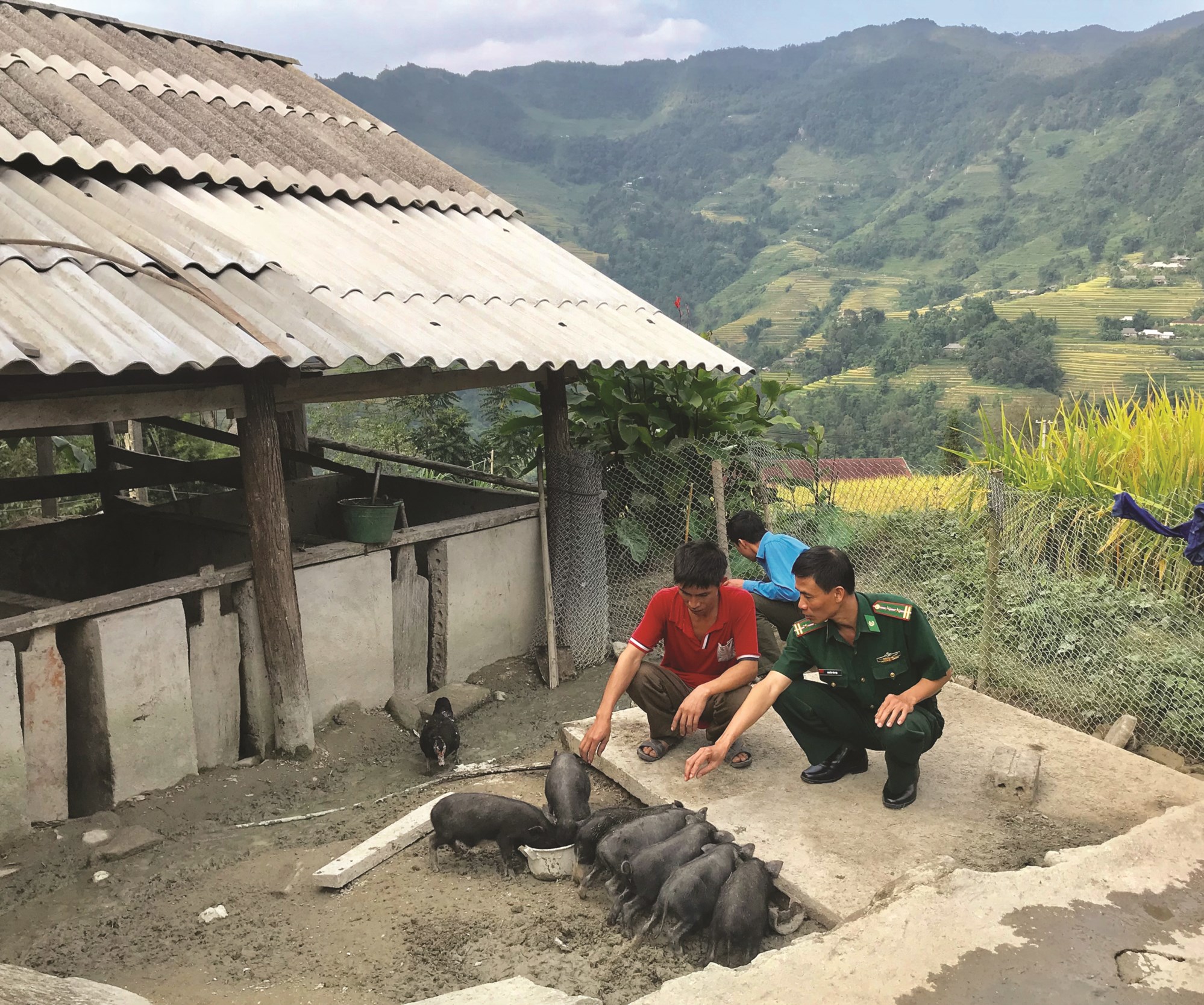Mô hình nuôi lợn đen xóa đói giảm nghèo tại huyện Hoàng Su Phì, Hà Giang. 