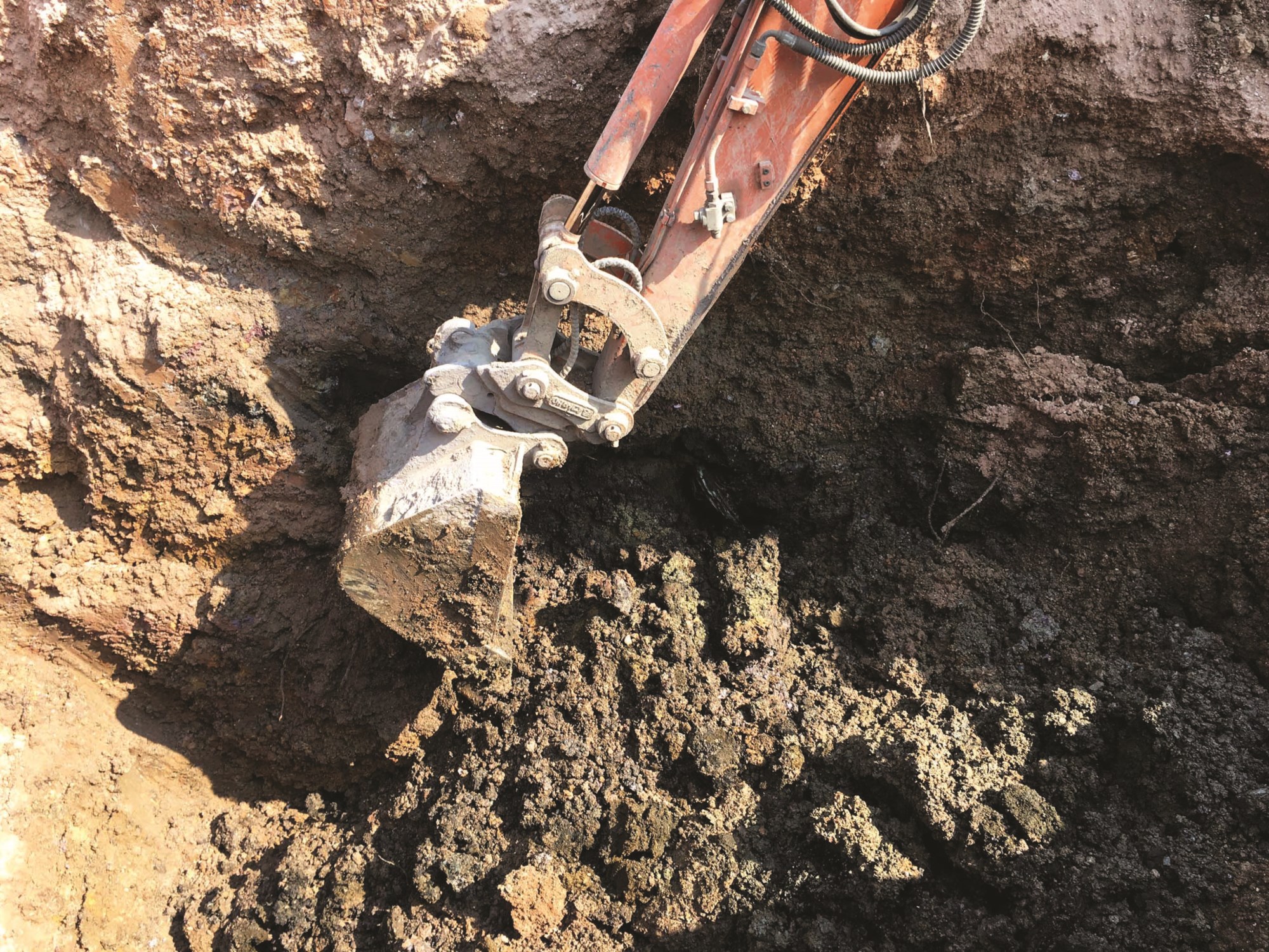 Việc kiểm tra ngẫu nhiên bằng máy xúc nơi trước đây là các hố phân vẫn phát hiện một lượng lớn phân gà tươi được chôn lấp ở độ sâu 2 - 3m