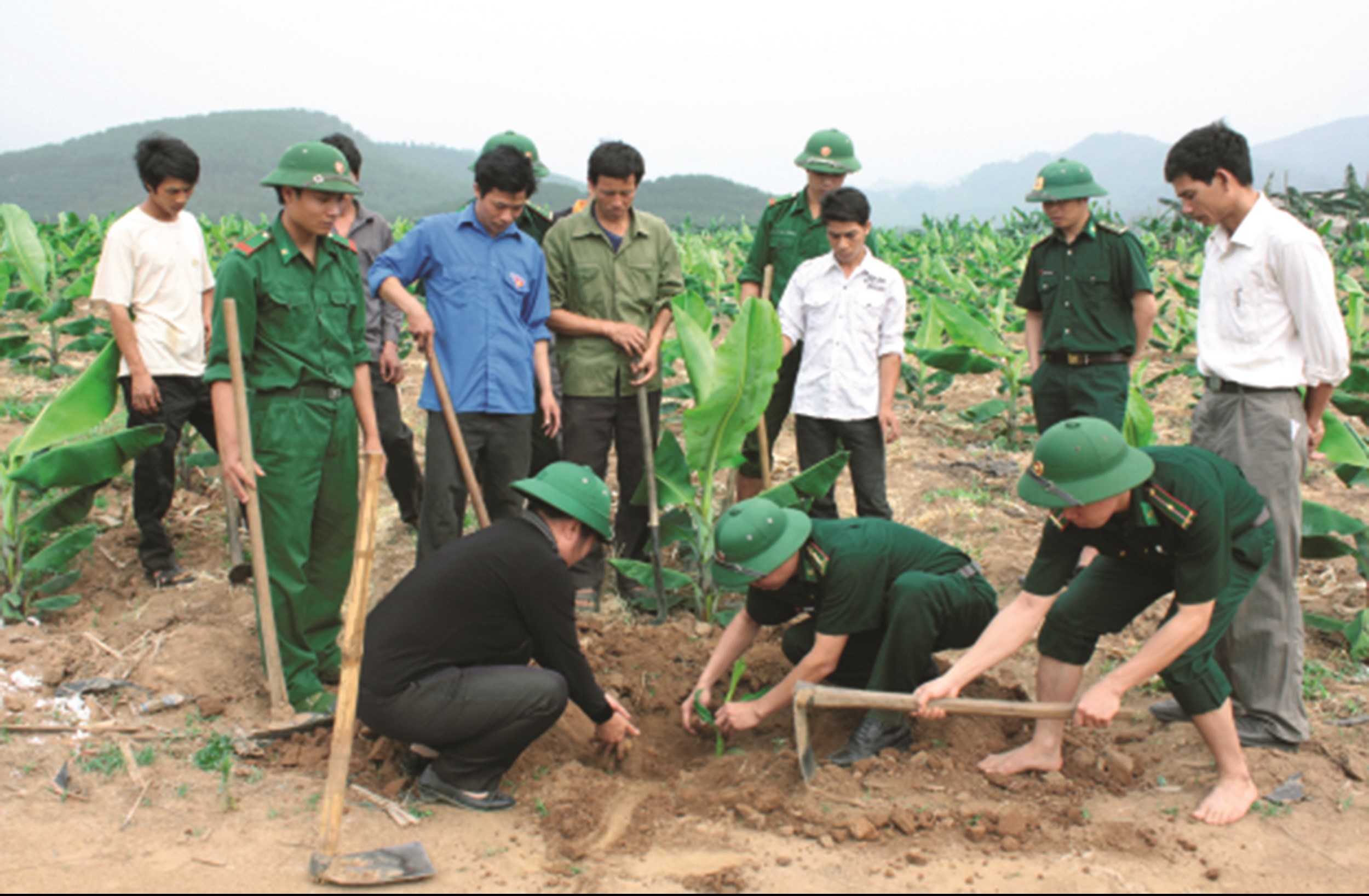 Cán bộ, chiến sĩ Đồn Biên phòng Bản Lầu, BĐBP Lào Cai hướng dẫn bà con kỹ thuật chăm sóc cây chuối