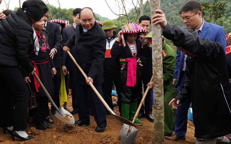 Thủ tướng tham gia trồng cây cùng nhân dân các dân tộc tỉnh Yên Bái