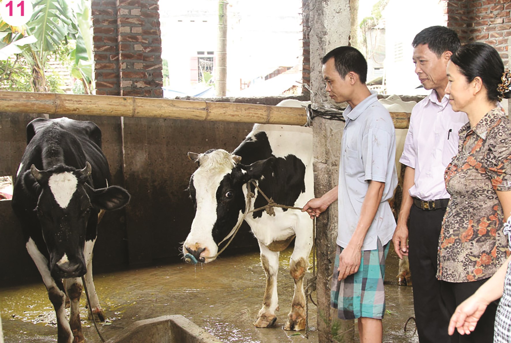 Nguồn vốn tín dụng chính sách giúp nhiều hộ gia đình khó khăn ở Hưng Yên vươn lên thoát nghèo bền vững