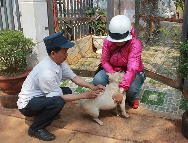 Cán bộ Trạm Chăn nuôi và Thú y TP. Buôn Ma Thuột tiêm vắc xin phòng bệnh dại cho chó nuôi trên địa bàn