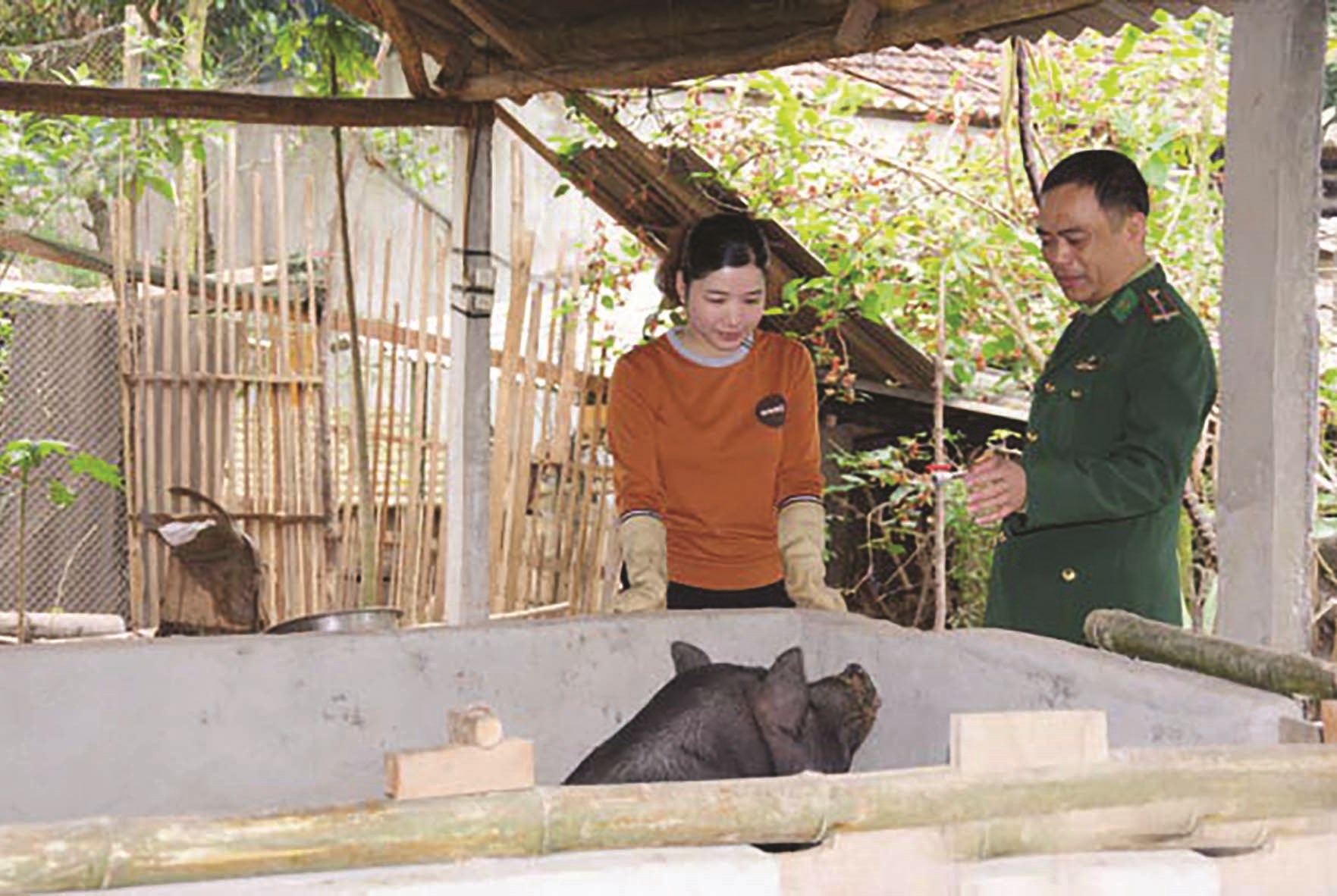 Thiếu tá Lê Văn Thơm hướng dẫn người dân kỹ thuật chăm sóc lợn sinh sản.
