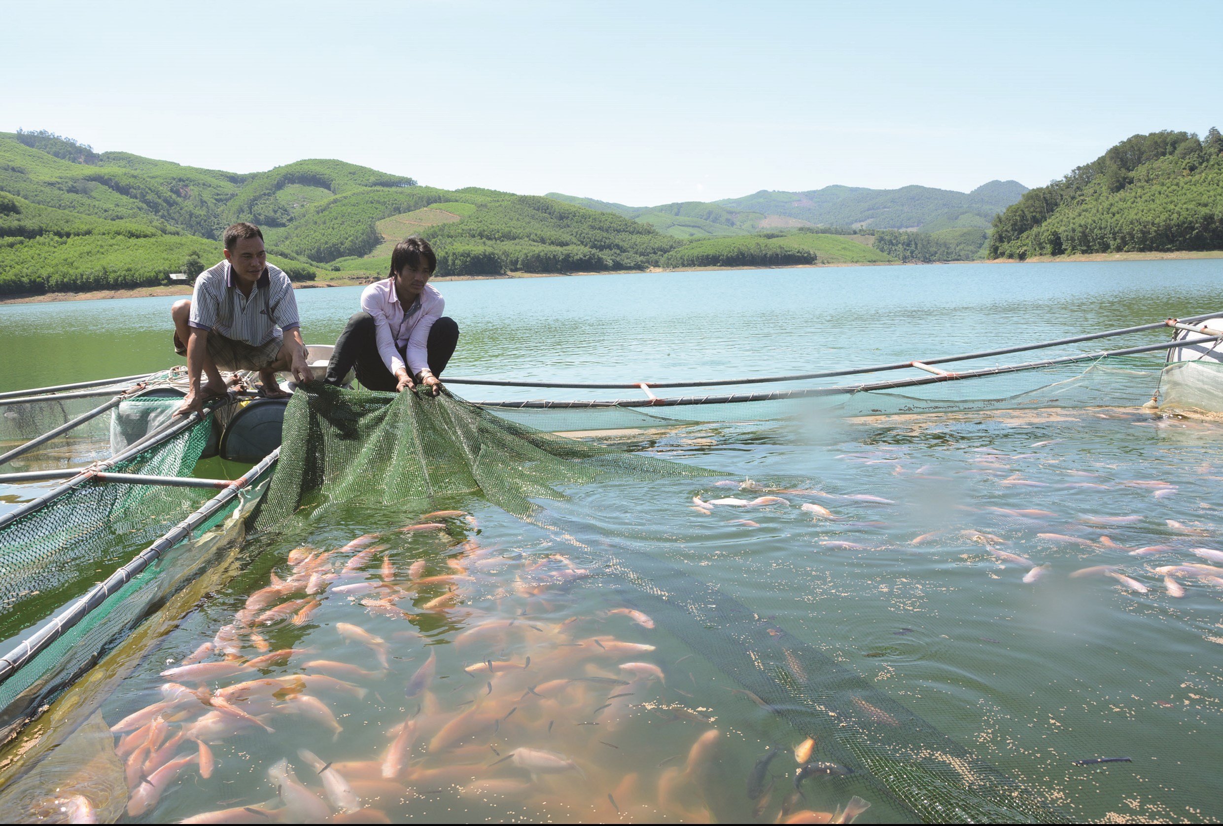 Tận dụng mặt nước sông Re, người dân nuôi cá nước ngọt mang lại lợi nhuận kinh tế cao.