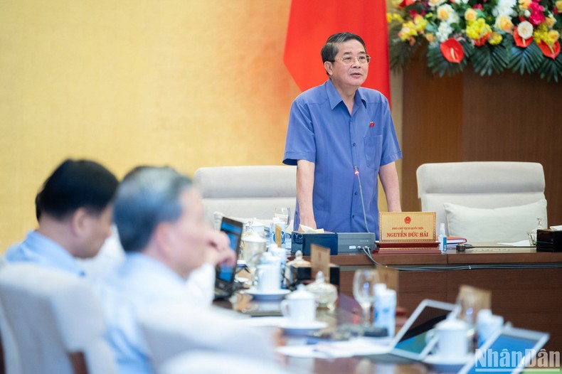 Phó Chủ tịch Quốc hội Nguyễn Đức Hải phát biểu ý kiến. (Ảnh: DUY LINH)