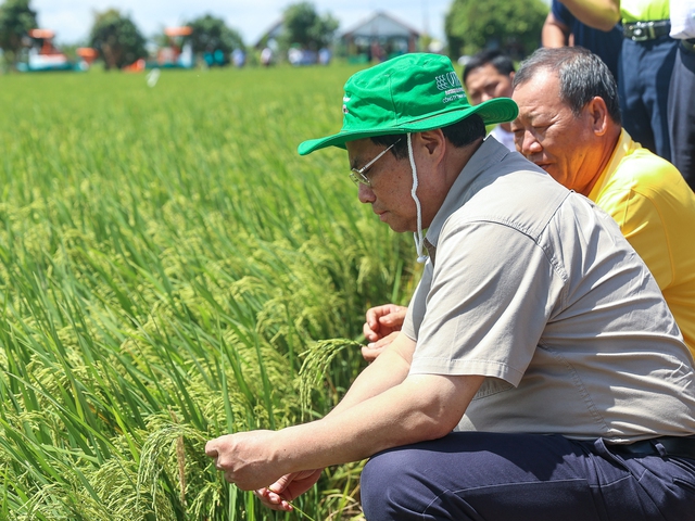 Thủ tướng khảo sát mô hình nông nghiệp công nghệ cao, sản xuất lúa và làm việc với Hợp tác xã Dịch vụ nông nghiệp Thắng Lợi (ấp 5, xã Mỹ Đông, huyện Tháp Mười), tháng 8/2023 - Ảnh: VGP/Nhật Bắc