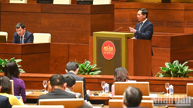 Bộ trưởng Ngoại giao Bùi Thanh Sơn báo cáo tại buổi gặp mặt. (Ảnh: DUY LINH)