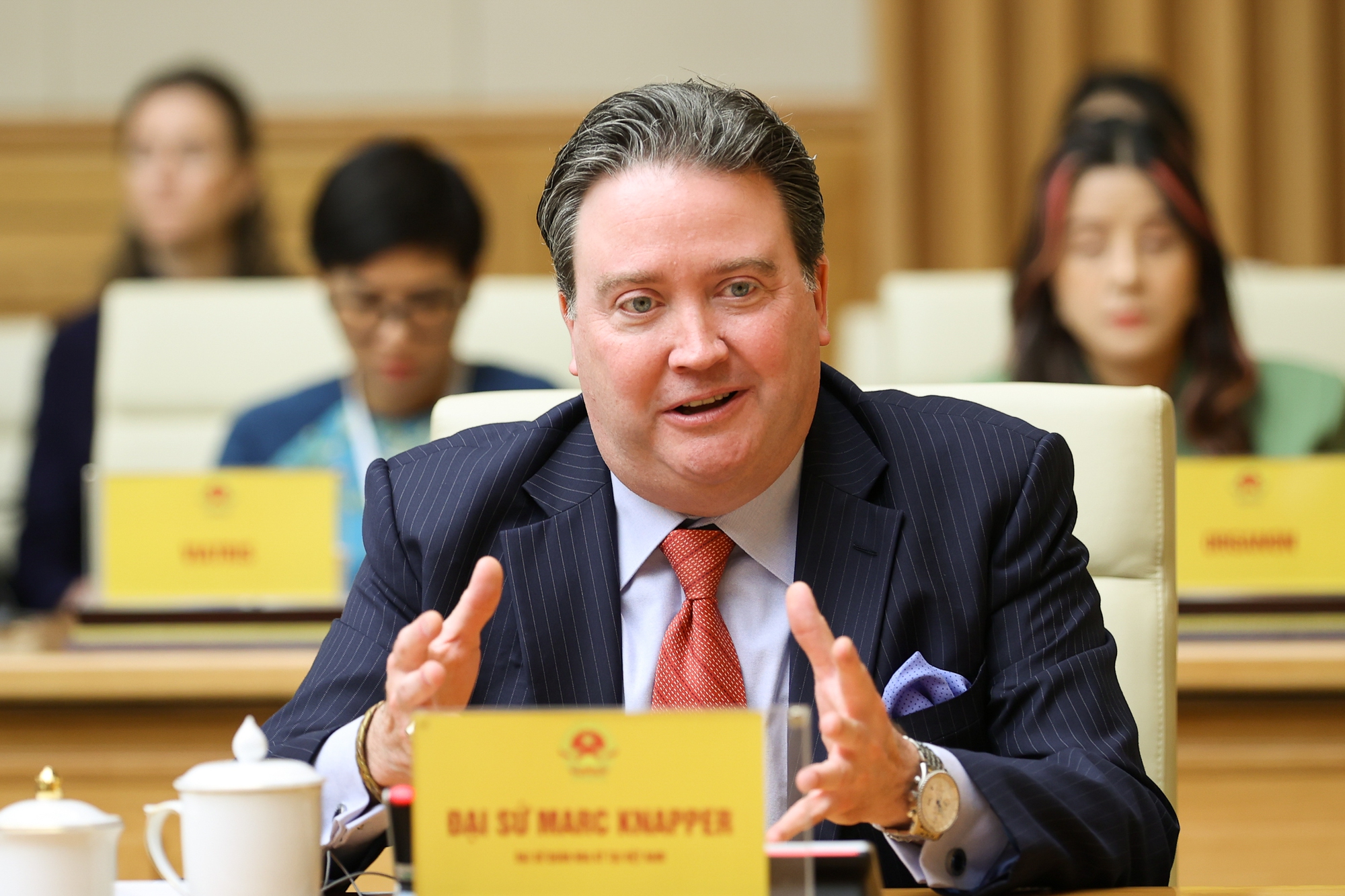 Đại sứ Hoa Kỳ tại Việt Nam Marc Evans Knapper tham dự buổi tiếp - Ảnh: VGP/Nhật Bắc