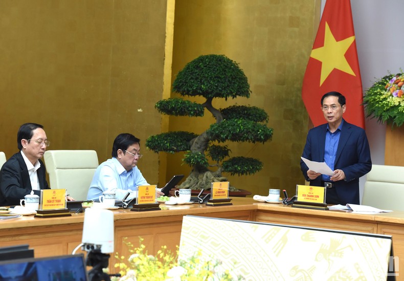 Bộ trưởng Ngoại giao Bùi Thanh Sơn phát biểu.