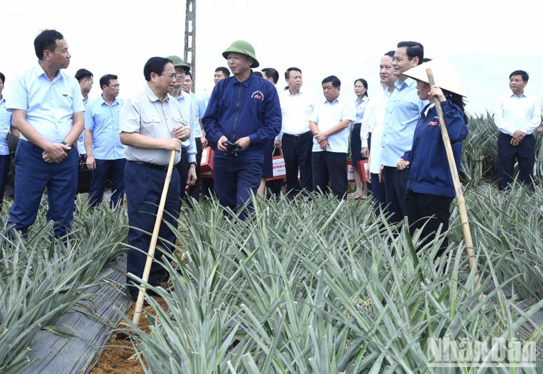 Thủ tướng Phạm Minh Chính nói chuyện với công nhân tại vùng trồng dứa