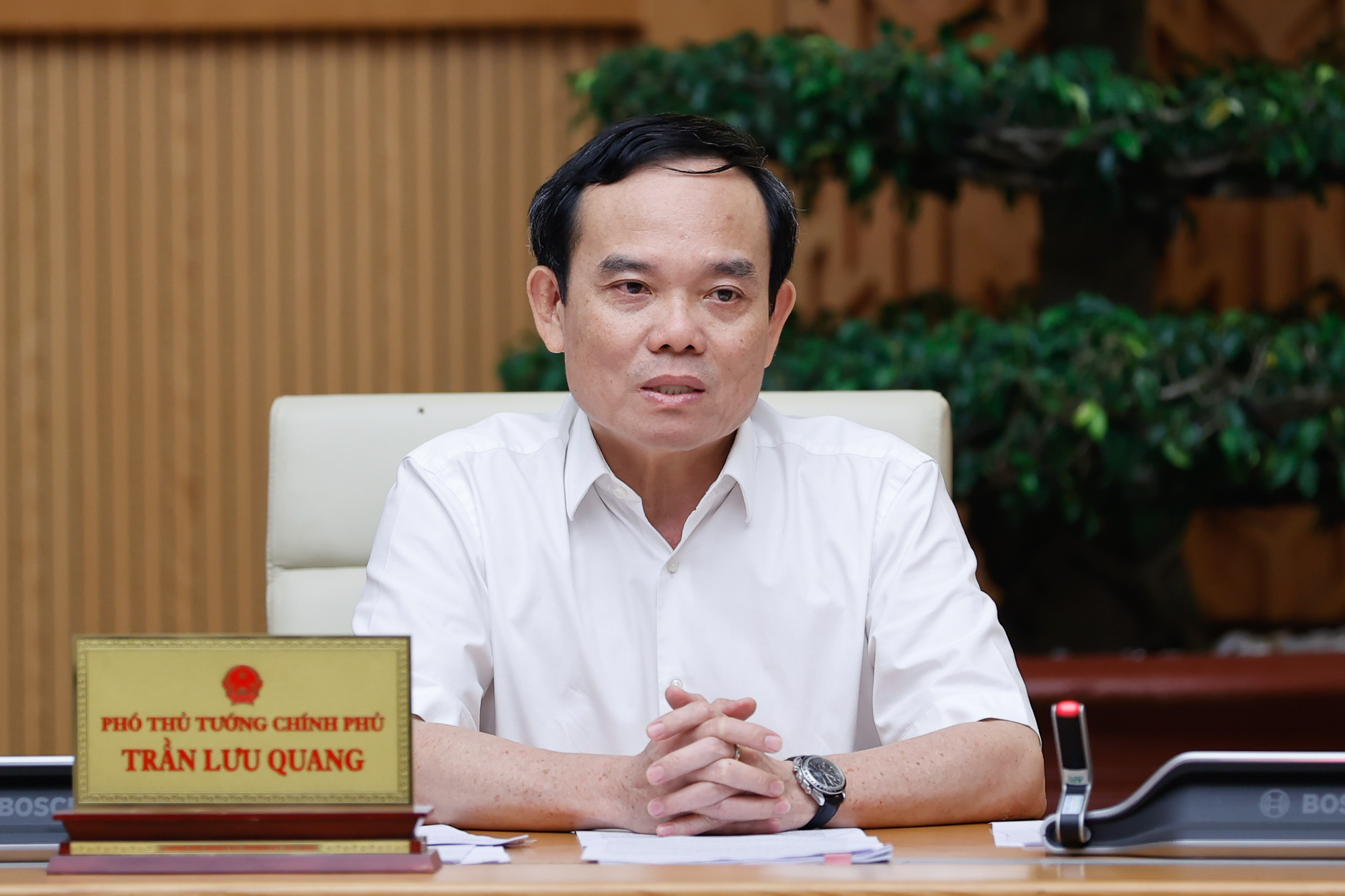 Phó Thủ tướng Trần Lưu Quang phát biểu tại phiên họp - Ảnh: VGP/Nhật Bắc