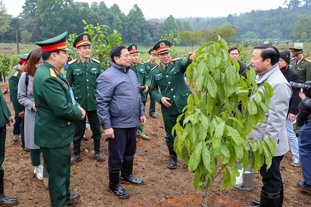 Thủ tướng dâng hương tưởng nhớ Chủ tịch Hồ Chí Minh và phát động Tết trồng cây Xuân Quý Mão - Ảnh 11.