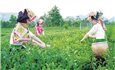 Thoát nghèo nhờ Chương trình MTQG 1719