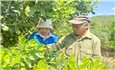 Kon Tum: Hỗ trợ sinh kế, tạo động lực giúp đồng bào DTTS vươn lên thoát nghèo