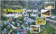 “Chắp cánh” ước mơ thoát nghèo bền vững: Hành trình nâng tầm thu nhập (Bài 1)
