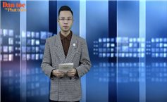 Tin trong ngày - 29/3/2023