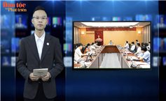 Tin trong ngày - 29/5/2023