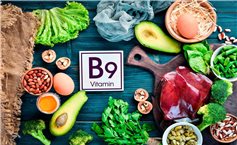Tầm quan trọng của vitamin B9 với cơ thể con người