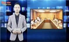 Tin trong ngày - 9/6/2023