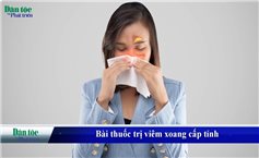 Bài thuốc Đông y trị viêm xoang hiệu quả