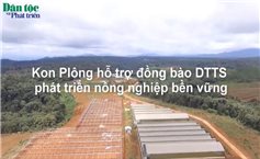 Kon Plông hỗ trợ đồng bào DTTS phát triển nông nghiệp bền vững