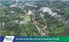 Sự sống sẽ nảy mầm, sinh sôi từ hoang toàn, đổ nát!