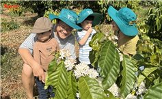 Trải nghiệm du lịch cà phê