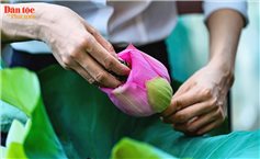 Đánh thức tiềm năng du lịch từ sản vật quê Bác