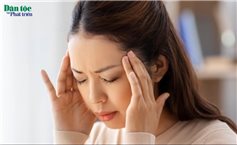 Bài thuốc quý điều trị suy nhược thần kinh hiệu quả