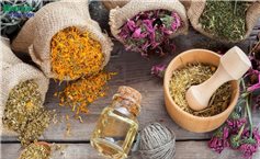 Thuốc Nam chữa cảm nắng trong mùa Hè