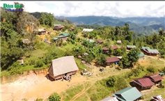 Cảnh báo gia tăng tội phạm về ma túy trong vùng đồng bào DTTS