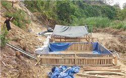Quảng Nam: Yêu cầu điều tra, xử lý khai thác vàng trái phép