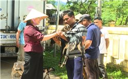 Quảng Bình: Trao Dê giống hỗ trợ sinh kế cho đồng bào DTTS