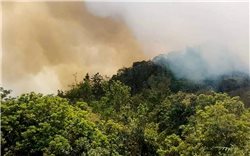 Vụ cháy rừng tại Hà Giang: Hai cán bộ kiểm lâm tử nạn