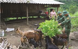 Xứng danh “Bộ đội Cụ Hồ” nơi tuyến đầu Tổ quốc