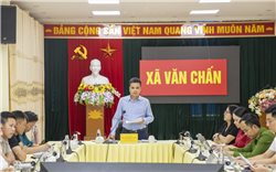 Sắp diễn ra Lễ hội Trà Shan tuyết tỉnh Lào Cai năm 2025