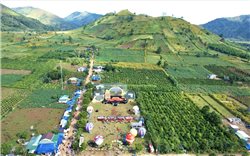 Lễ hội hoa Dã quỳ - Núi lửa Chư Đang Ya năm 2025- Hứa hẹn trải nghiệm ấn tượng