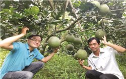 Bước chuyển mình của nông sản trong kỷ nguyên số