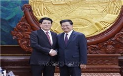 Chủ tịch nước Lương Cường hội đàm với Tổng Bí thư, Chủ tịch nước Lào