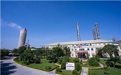 Công ty TNHH MTV Đạm Ninh Bình