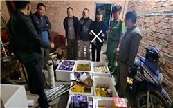 Bắt thanh niên tự chế tạo gần 2 tạ pháo nổ