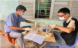 Số ca ngộ độc sau ăn bánh mì ở TP. Hồ Chí Minh liên tục tăng