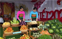 Hướng đi bền vững cho du lịch mùa Xuân