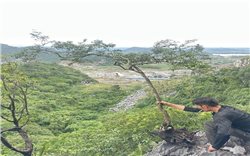 Thanh Hóa đưa 280 cây muội hồng về các vườn quốc gia, khu bảo tồn thiên nhiên