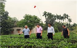 Thái Nguyên: Người có uy tín tiên phong, lan tỏa sức mạnh đồng thuận ở xóm Đạt