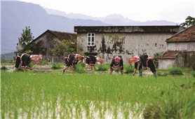 Bình Liêu (Quảng Ninh): Nỗ lực xóa bỏ các tập quán lạc hậu của người dân